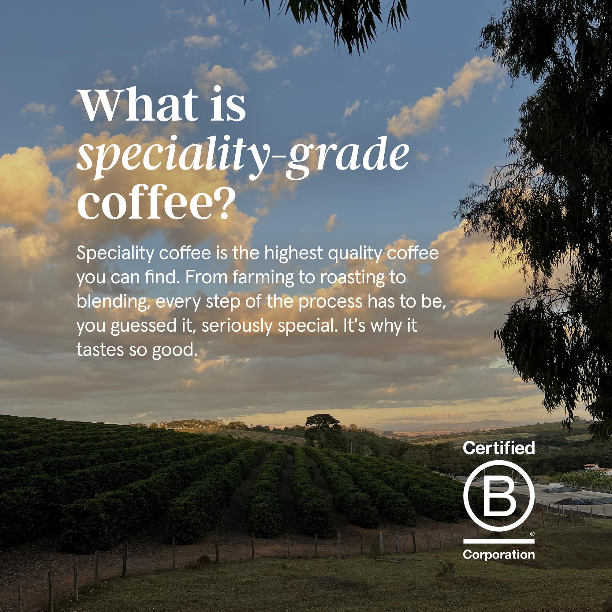 Grind Dark Blend Specialty Coffee Beans – 1kg Bag – Dark Roast – Suitable for All Coffee Machines – 100% Arabica – Barista Quality – Freshly Roasted in UK